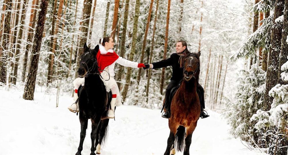 Топ 10 мест в спб ленинградской области для зимнего отдыха на 1 день выходные активный лошади катание конный клуб вестерн хорс